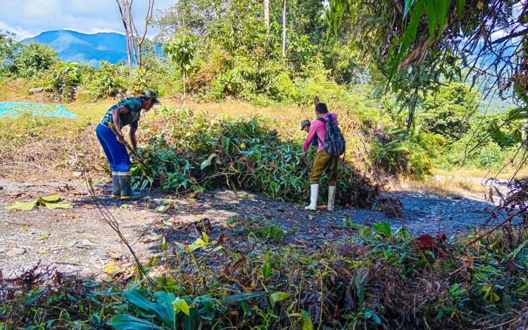 PUNO: POBLACION REALIZÓ FAENAS COMUNALES A FIN DE MEJORAR SUS CACERIOS EN PUNO Y MADRE DE DIOS
