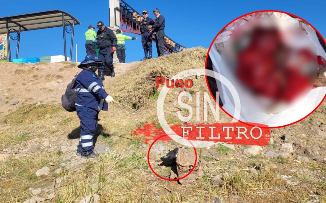 PUNO| HALLAN FETO DENTRO DE BOLSA CERCA AL ÓVALO EN SALCEDO