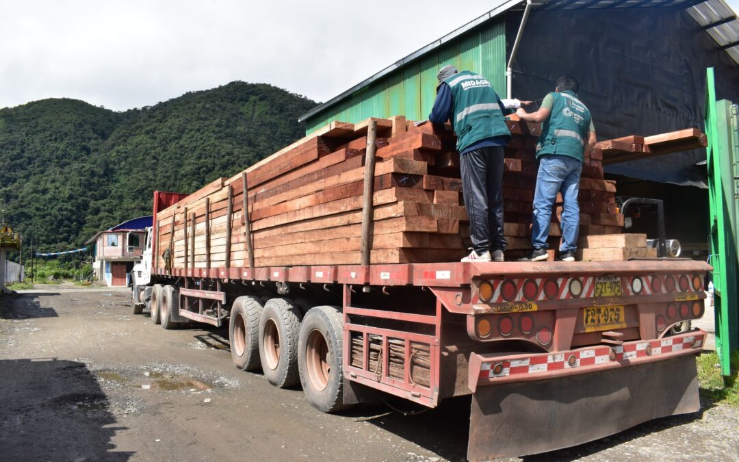 CARABAYA| DECOMISAN TABLARES DE MADERA ILEGALES EN EL PUESTO DE CONTROL SAN GABÁN EN PUNO. TRANSPORTADORES TAMBIEN FUERON SANCIONADOS