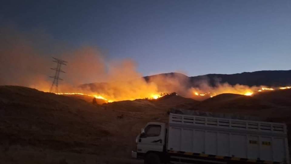 INCENDIO FORESTAL DEVASTADOR EN LANGUI. LA IMPRUDENCIA HUMANA PUSO EN PELIGRO A COMUNEROS Y SU GANADO