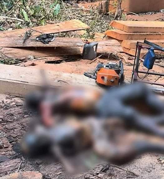 HALLAN SIN VIDA A DOS MADEDEROS. AUTORIDADES PRESUMEN QUE FUERON ULTIMADOS POR INDÍGENAS