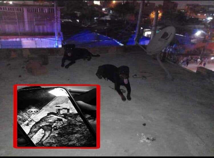 NIÑO DE 7 AÑITOS MURIÓ TRAS SER ATACADO POR PERROS DE RAZA ROTTWEILER