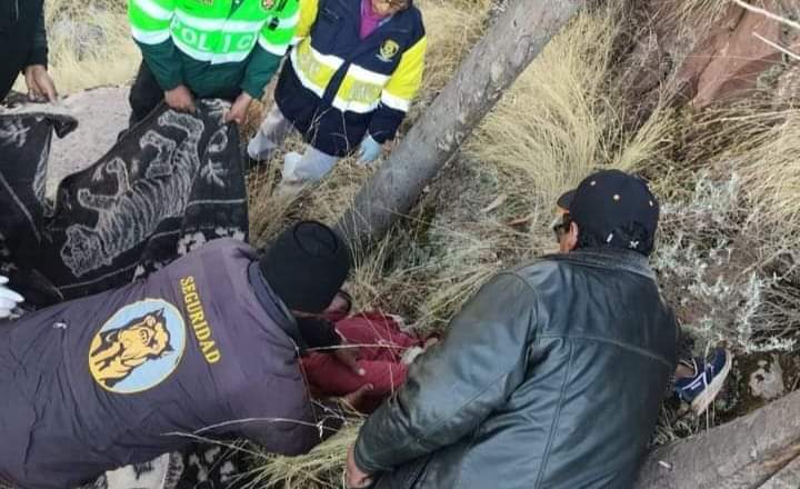 AZANGARO| RAYO MATÓ A MADRE E HIJA EN AZANGARO