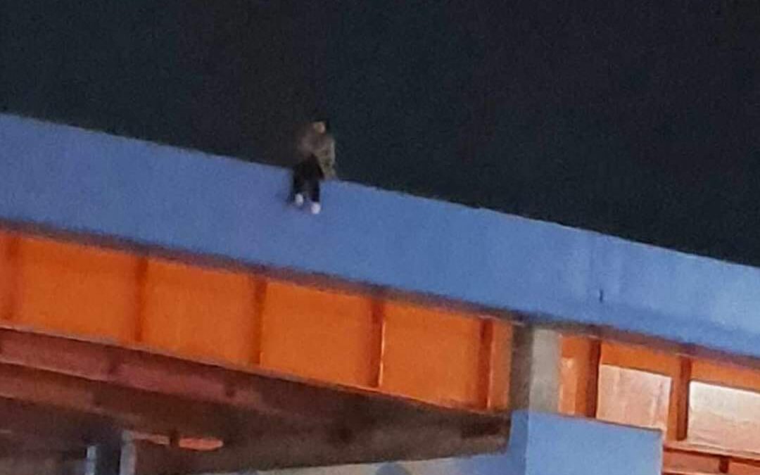 OPORTUNA ALERTA, PROMOVIÓ EL RESCATE DE MUJER QUE INTENTÓ SALTAR DEL EL BYPASS DE LA SALIDA A CUSCO EN JULIACA